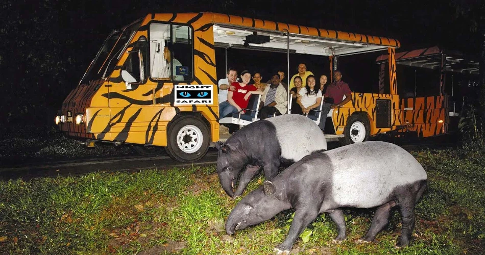 20 Best Attractions in Singapore