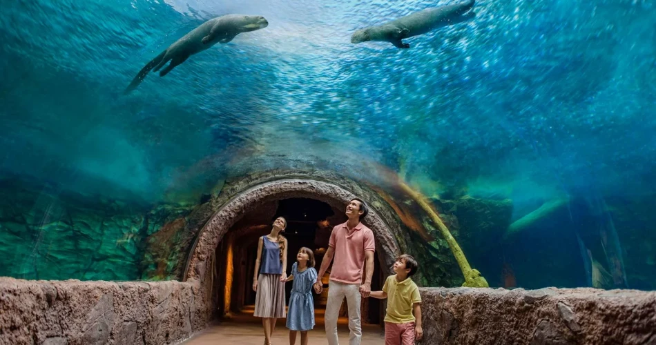 20 Best Attractions in Singapore