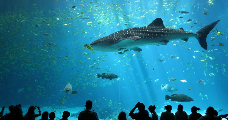 20 Best Attractions in Singapore