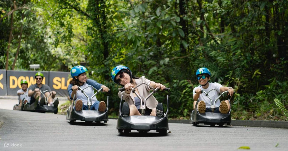 20 Best Attractions in Singapore