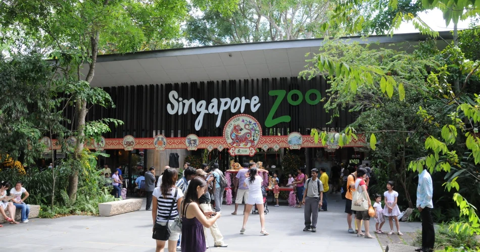 20 Best Attractions in Singapore