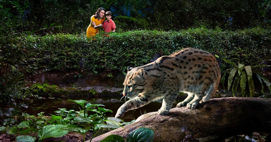 48 Hours in Singapore – Travel Guide