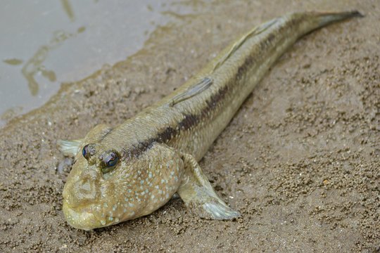 Tour image 3