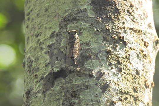 Tour image 12